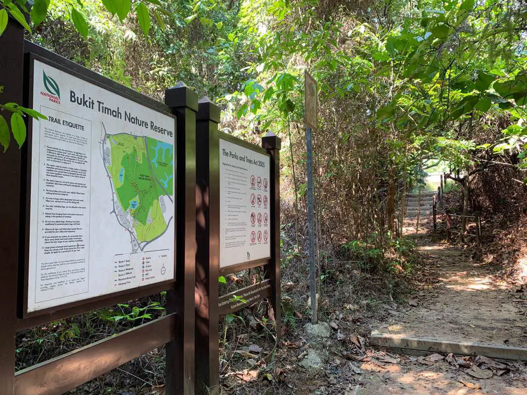 Reserva natural de Bukit Timah: un paraíso para los excursionistas